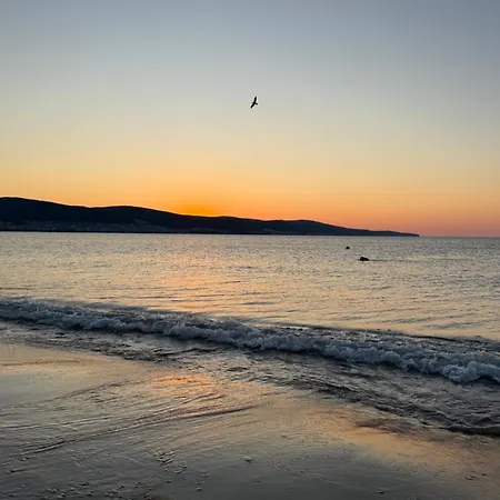 Sea 1